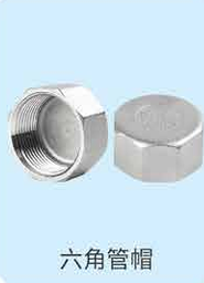 304/316 Stainless Steel Hex Pipe Cap