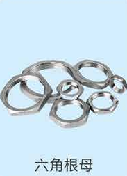 304/316 Stainless Steel Hex Lock Nut