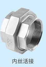 304/316 Stainless Steel Female Thread Union